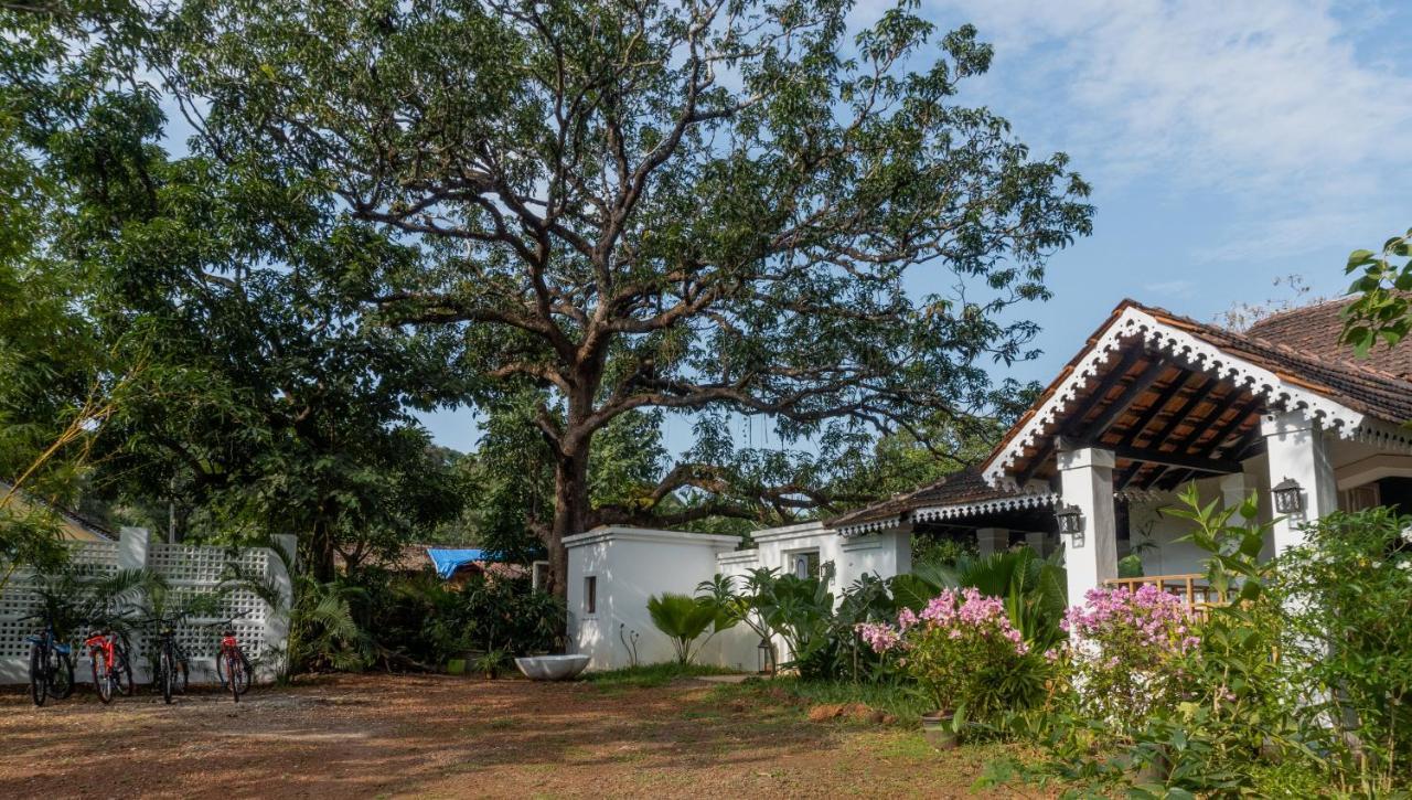 The Island Sanctuary - A Village Secret Chorao Ngoại thất bức ảnh